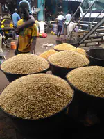CIRAD delegation visited Université Nangui-Abrogoua (UNA) in Abidjan